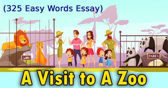A Visit to A Zoo Essay