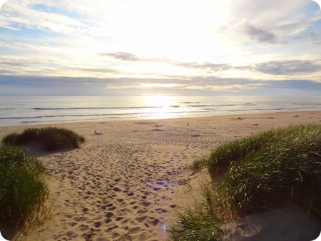 trail to beach