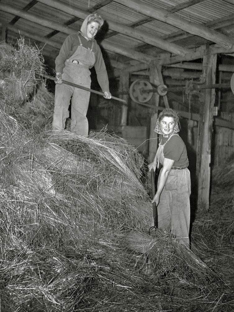 Vintage Photos of Land Girls During World War II ~ vintage 
