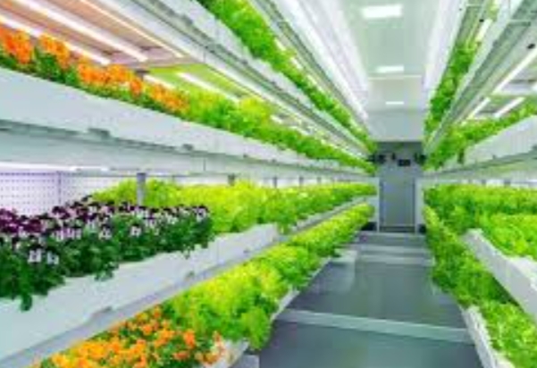 Japan Modern Agriculture