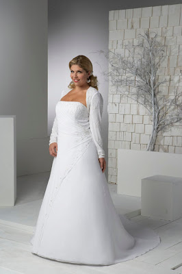 Long sleeves chiffon Aurora wedding dress