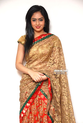 Actress Beautiful Nikisha Patel Pictures Traditional Saree