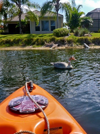 Longshore Lake Maiden Circumnavigation 004