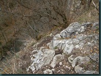 DSCN8536