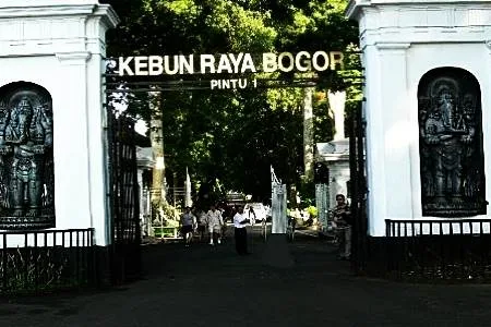 Botanical Garden Bogor