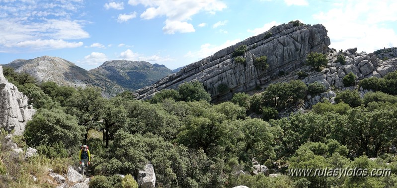 Crestería Sierra de Líbar y Mojón Alto