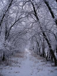 Sereno chega o Inverno Com promessas de um sono eterno; Seu gélido peso desce sobre a terra, Alvo manto de neve sobre a serra. 