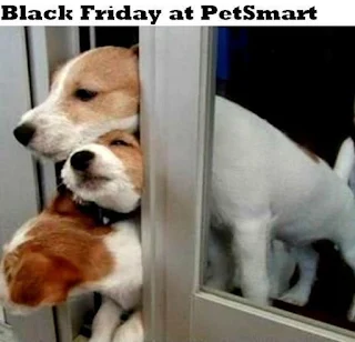 Black Friday at PetSmart. Hilarious Black Friday Meme