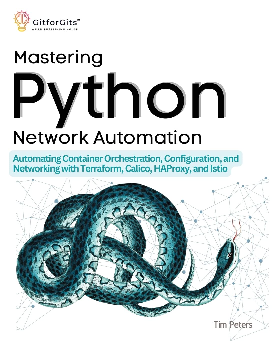 Оглавление книги Python 2023. Python Master. Mastering python