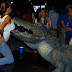 Daring women feeding Crocodile...