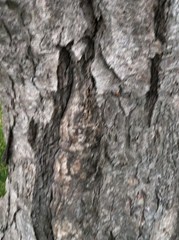 2014-06-11 19.28.43