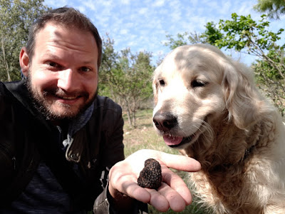 Truffle hunting with dogs in the prades mountains Catalonia