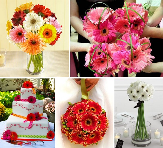 Gerbera Daisies You won't find a more cheerful wedding flower than the 