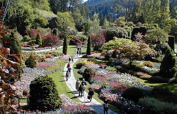 Garden landscape