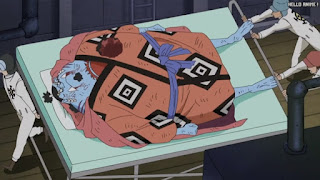 ワンピースアニメ 頂上戦争編 489話 ジンベエ | ONE PIECE Episode 489