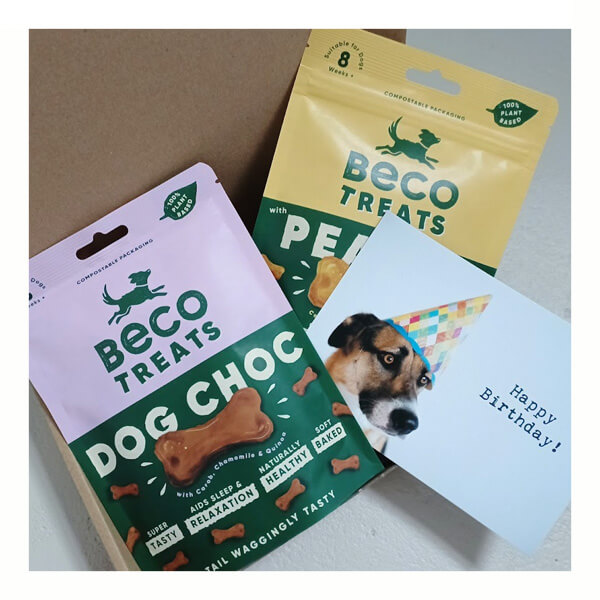 Plantaardige honden snacks Beco Dog Choc