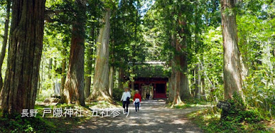 戸隠神社の五社参りで昇運祈願！