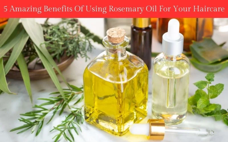 5 Incredible Benefits of Rosemary for Hair Growth and Care - 5 Amazing Benefits Of Using Rosemary Oil For Your Haircare - Web News Orbit