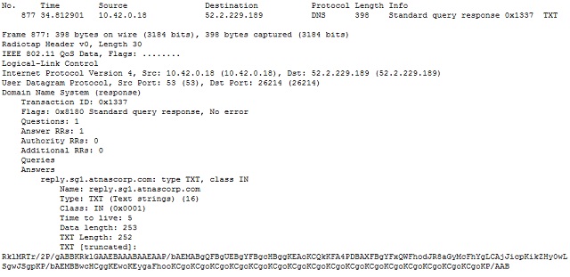 Some DNS packets include a truncated TXT resource record
