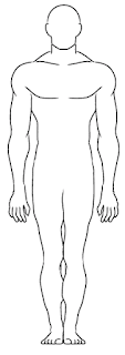 Black and white outline of male body
