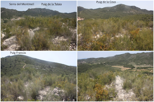 LA BISBAL DEL PENEDÈS - Mas Bartomeu - Puig de la Cova - Cova Gran - Puig la Serreta - Puig Francàs, Puig la Serreta al Montmell