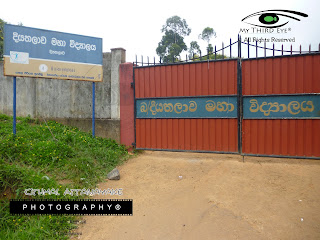 http://kithmal-photography.blogspot.com/2013/11/diyathalawa-maha-viddyalaya.html