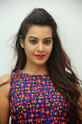 diksha panth sizzling photo shoot-thumbnail-6