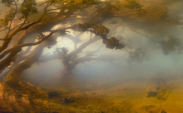 kim keever 8