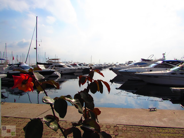 Atakoy Marina, Istanbul, Turkey