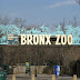 El Zoológico del Bronx