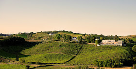 La Valentina vineyards