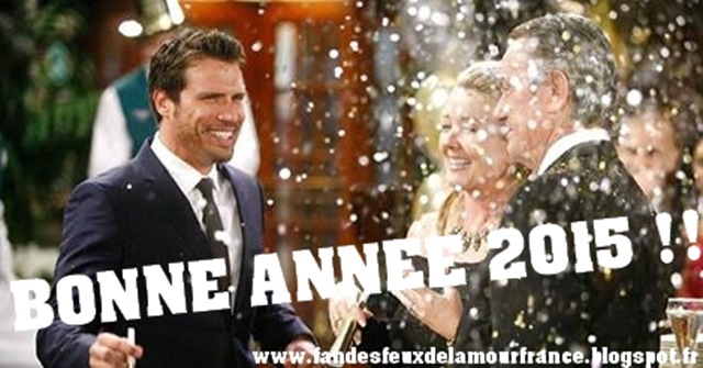 Bonne année 2015