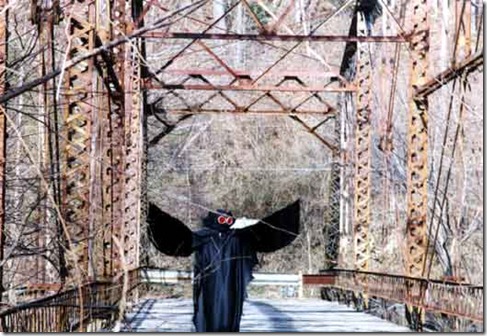 mothman1