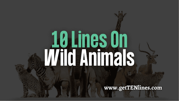 10 Lines on Wild Animals in English [Updated in 2022]