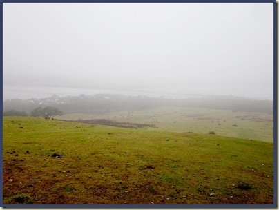 The view from Arnside Knott