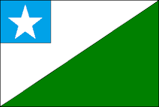 Bandeira de Elísio Medrado BA