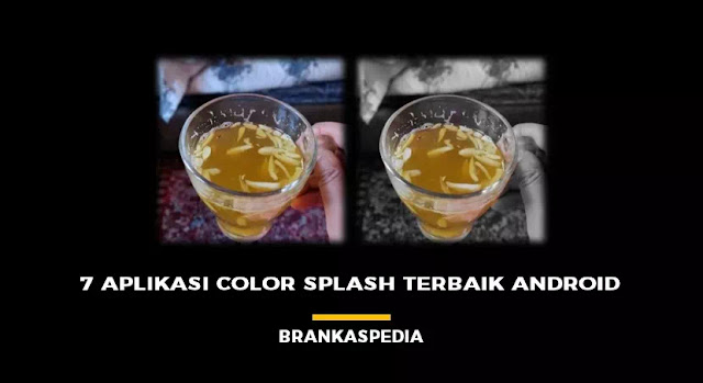 7 Aplikasi Color Splash Terbaik Android