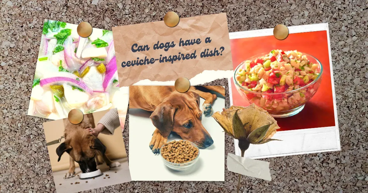 Homemade Dog Meals, Nutritional Dog Diet, Protein Sources for Dogs