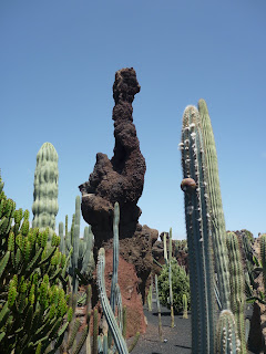 Jardín de Cactus II