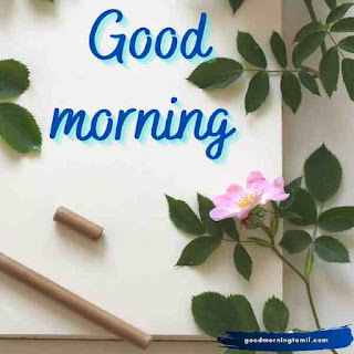good morning cards for whatsapp