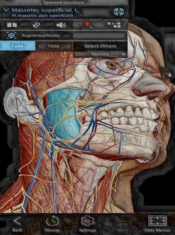 l'atlas de l'anatomie humaine 2019 est la publication d'aujourd'hui du célèbre éditeur d'anatomie sur Google Play. Nous avons eu plusieurs produits cliniques auparavant. Il est de loin aimé par de nombreux médecins en raison de sa précision et de sa créativité dans la conception de l'interface du fabricant.