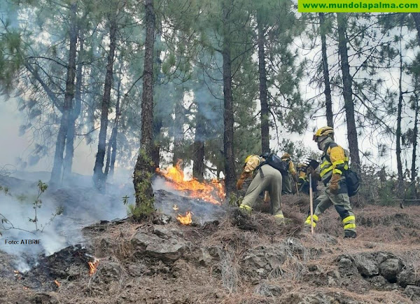 Flancos críticos en Tijarafe y Caldera de Taburiente: Prioridades en la lucha contra el incendio de Puntagorda