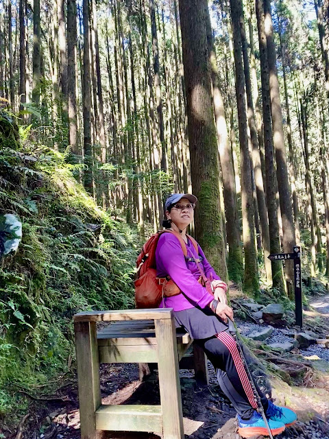橫嶺山步道