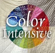 Color Intensive Online Workshop