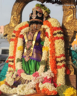 Sri Aandal,Aadipooram,Purappadu,Video, Divya Prabhandam,Sri Parthasarathy Perumal, Triplicane,Thiruvallikeni,Utsavam,