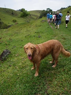 Dogs Trekking 3 (148)