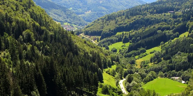 Thuringian Forest