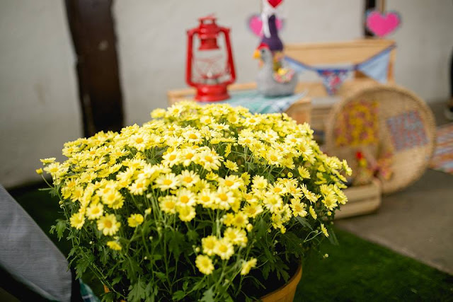 Mini Fazenda, Programa Agrotour, Parque de Exposições da Gameleira, 57ª Exposição de Agropecuária de Minas Gerais, Eventos, Roteirinho da Sorte, Mamãe Sortuda, Toca dos Sonhos, Isabel Gonçalves, Ciranda de Roda, Dedo Verde, Trupe Magus, Decoração country, Dione Lopes, decoração country, sertaneja, festa junina