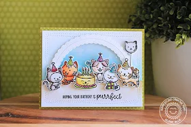 Sunny Studio Stamps: Purrfect Birthday Fancy Frames Shaker Birthday Card by Eloise Blue