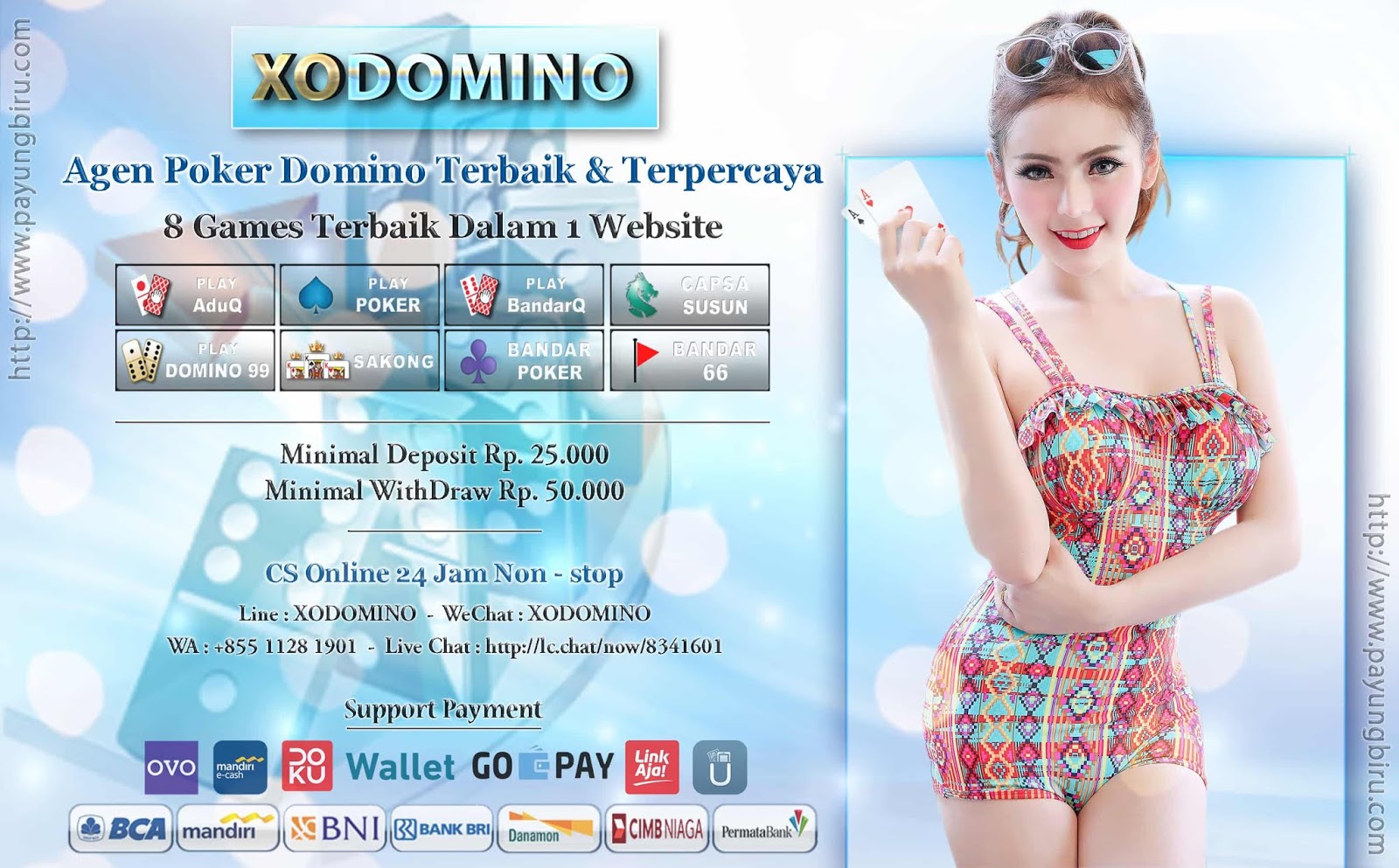 Login XODomino